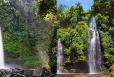 Wajib Kunjungi 5 Tempat Wisata Air Terjun Yang Memukau! 