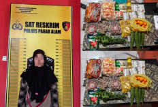 Curi Barang di Toko Sayur Pagar Alam, PNS Asal Lahat Diamankan Polisi