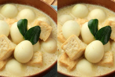 Cobain Yuk Opor Telur Puyuh dengan Tahu Yang Bikin Tambah Nasi!