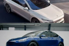 Yuk Kenali Mobil Listrik Lokal yang Mulai Bikin Tesla Was Was di Pasar Dunia