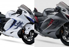 Review Suzuki Hayabusa 2026: Motor Legendaris yang Tetap Mengintimidasi di Jalan Raya!