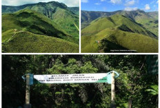 Mengulik Sejarah Bukit Barisan, Serta Cerita Mistis di Balik Keindahan Bukit Barisan!