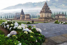 Ini Mitos Misterius di Balik Kemegahan Candi Arjuna, Memahami Warisan Budaya yang Bernilai