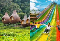 Yuk Liburan Ke Bogor Destinasi Wisata Alam Yang Luar Biasa