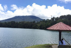 Bikin Geleng-geleng Kepala, Ini 4 Misteri Gunung Masurai yang Pendaki Wajib Tau!