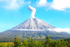 Ini Mitos Gunung Merapi: Misteri dan Kepercayaan di Balik Gunung Berapi Paling Aktif di Indonesia