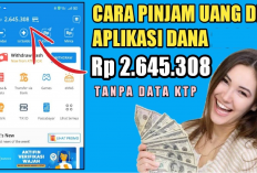Cara Mudah Pinjam Rp500 Ribu di DANA Tanpa KTP & Share Link! Cuma Butuh Beberapa Menit!