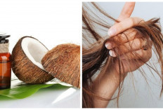 Rekomendasi 7 Cara Merawat Rambut Rusak secara Alami jarang Diketahui!