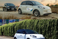 Pabrikan Besar Gerak Cepat Hadirkan Mobil Listrik Terjangkau untuk Semua Kalangan