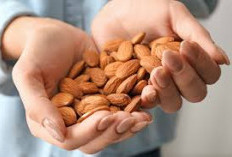 Snack Sehat dan Lezat! Yuk Kenali 5 Manfaat Kacang Almond Untuk Keseharian Anda