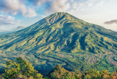 Melihat Misteri Gunung Merbabu, Cerita Mistis di Balik Keindahan Alam!