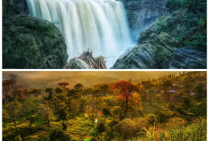 7 Destinasi Wisata Terbaik di Bojonegoro, Suguhkan Panorama Indah dan Suasana Menenangkan