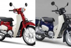 Review Lengkap Honda Super Cub C125 2026: Perpaduan Ikon Legendaris dan Teknologi Modern Ditahun 2026!