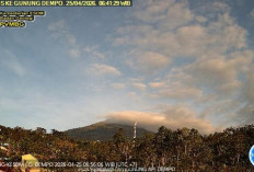 Aktivitas Gunung Api Dempo Periode Pengamatan 24 April 2026 00.00 - 24.00 WIB