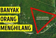 Keunikan yang Menghilang, Pemetaan Misteri Segitiga Bennington! Ada Apa?