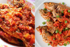 Yuk Cobain Resep Sambal Ikan Sarden Pedas Gurih Bikin Lidah Bergoyang!