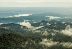 Fakta Menarik tentang Gunung Kunyit, Jambi