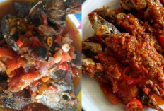 Resep Ikan Kembung Goreng Sambal Tomat, Enak Dan Lezat Wajib Kalian Cobain!