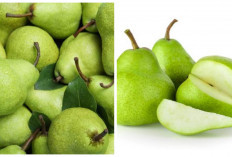 Ketahui! Inilah Nutrisi dan Manfaatnya untuk Kesehatan Pir Hijau