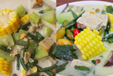 Yuk Cobain Resep Sayur Lodeh yang Sederhana Berkuah Gurih Lezat! 