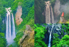 Kuy Liburan Seru ke Tama’lulua Waterfall, Destinasi Wisata Alam yang Menenangkan dan Tenang 