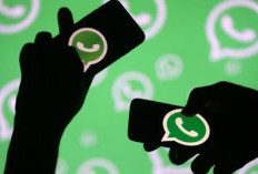 Aplikasi Pengganti WhatsApp Ramai Diserbu, Ini Alasan Banyak Orang Pindah