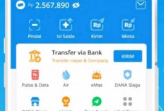 Ini Daftar 5 Bank yang Bisa Top Up Saldo DANA dengan Transfer, Cek Pilihannya!