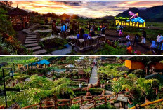 Desa Penghasil Susu, Inilah Wahana Wisata Desa Pujon Kidul Malang