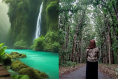 Tempat Wisata Banyuwangi yang Cocok Untuk Semua Petualang dan Pecinta Alam!