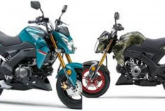 Harga Kawasaki Z125 2026 Mei Resmi Terungkap, Motor Naked Mini Ini Bikin Rider Pemula Langsung Kepincut!
