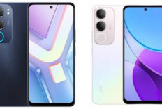 Vivo Y19s Resmi Meluncur: Bawa Baterai Besar dan Kamera 50MP di Kelas Menengah Harga Terjangkau