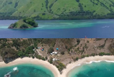 Keindahan Alam Nusa Tenggara Timur, Mengenal Pantai-Pantai Terindah di Pulau Komodo dan Sekitarnya!