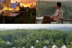 Liburan Idaman di Giri Wanara Glamping Resort, Pengalaman Tak Terlupakan!