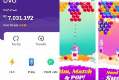 Ini Game Penghasil Saldo OVO Mengubah Cara Kita Menghasilkan Uang