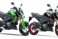 Review Kawasaki Z125 2026: Motor Naked Mini Ini Makin Agresif, Tapi Apakah Masih Layak Dibeli Tahun Ini!