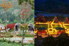 Glamping di Magelang, Kombinasi Sempurna Antara Alam dan Kenyamanan!