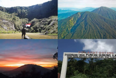 Misteri dan Fakta Gunung Tandikek yang Perlu Kalian Ketahui!