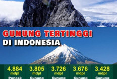 Lokasi Gunung Tertinggi di Indonesia. Berani Taklukkam Puncaknya yang Menjulang Tinggi?