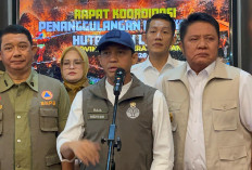 Karhutla Sumsel Mulai Terkendali