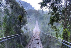 Bikin Bulu Kuduk Berdiri, Ini Jembatan Angker di Daerah Jawa Barat