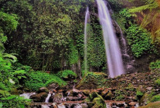 Pesona Tersembunyi Air Terjun Jurang Jero di Karangpandan!