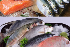 Mudah Didapat Setara Salmon. 5 Ikan Lokal Ini Baik Untuk Tumbuh Kembang dan Nutrisi Otak Anak