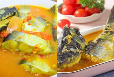 Mencicipi Kelezatan Ikan Patin Kuah Kuning, Enak Bikin Ketagihan Terus!