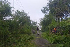 Berikan Kenyamanan Pengendara, Warga Candi Jaya Laksanakan Gotong Royong