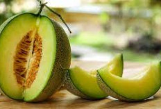 Tak Hanya Manis! Nikmati Kelezatan dan 5 Manfaat Buah Melon Untuk Pencernaan Yang Sehat