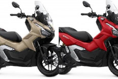 Harga Terbaru Juli 2026 Honda ADV 350 Resmi Terungkap, Segini Banderol Skutik Adventure Premium!