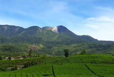 Menjelajahi Pesona Gunung Talang di Sumatera Barat