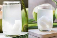 Manfaat Air Kelapa Muda: Minuman Sederhana dengan Efek Kesehatan Hebat