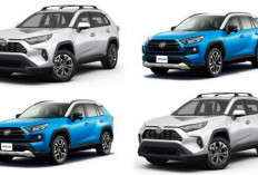 Rahasia Dibalik Dominasi Toyota RAV4: Apakah Masih Layak Jadi Raja SUV di 2026 atau Sekadar Menang Nama!