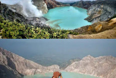 Pesona Dataran Tinggi Cagar Alam Kawah Ijen